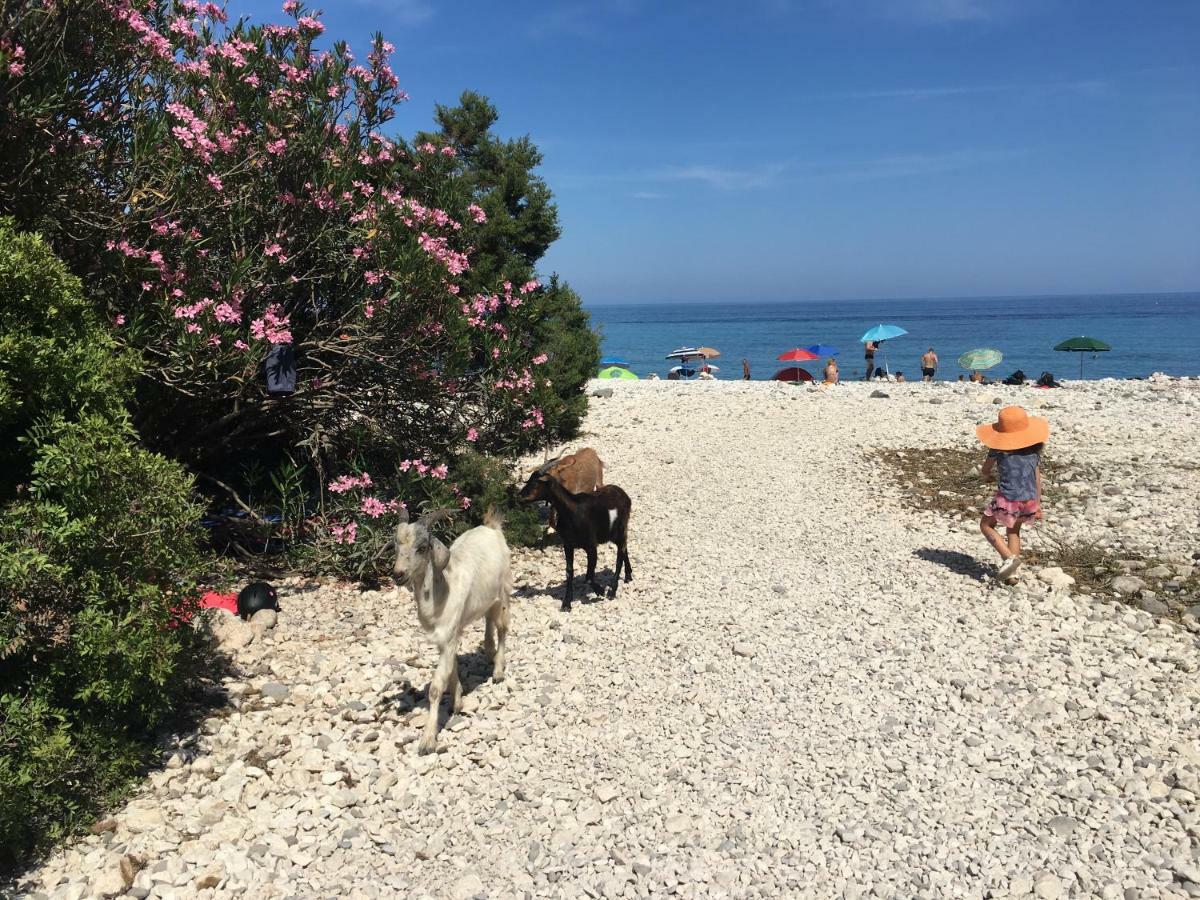 Casa M&M Lägenhet Cala Gonone Exteriör bild